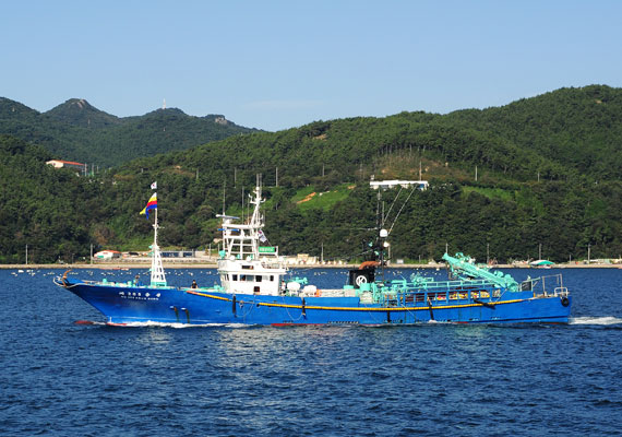 본선